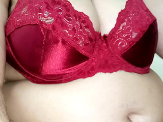 Anal sex with Indian fat sister-in-law (Netu Bhabhi) while talking dirty in clear Hindi audio