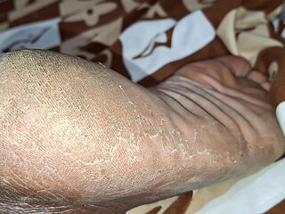 The Pig Has Big Legs and Asked a Cuckold to Come Lick the Cuckold Album Available There