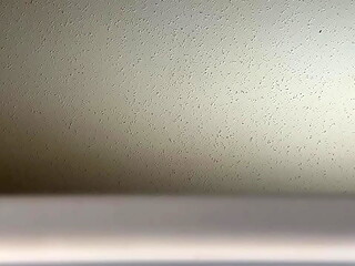 Sounds of fucking from my window