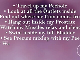 FISRT EVER POV COMSHOT FROM INSIDE THE PROSTATE