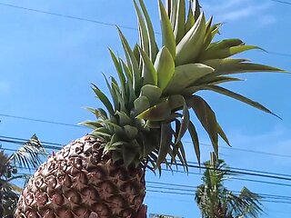 Dia en mexico