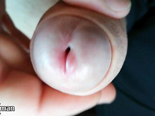 Glans Teasing to the First Drop of Preejaculate - Soloxman