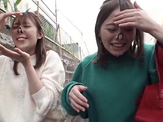 x2x93A2538EA6E2EE7590