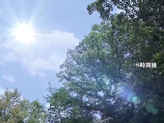 x2x06398DE0748660F632