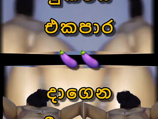 Sri Lankan Cheting Wife with Two Brinjal