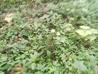 Desi gay tashjendar shemele forest handjob