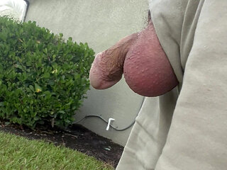 Taking My Penis For. Walk Outside My House