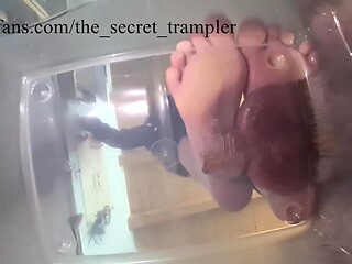 Mistress stomps and crushes balls, making cum ooze out