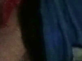 Spelious