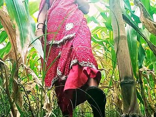 Sister-in-law sucked cock in the field and fucked hard