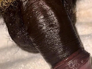 Golden hairy black cock