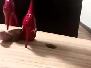 Arabicdominatrix - High heels trample