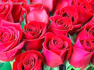 Jaw-dropping mature hotwife in saree has a wild adventure with her husband