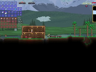 terraria calamity mod