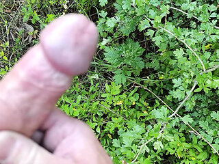 horny jerked off on the side of the road