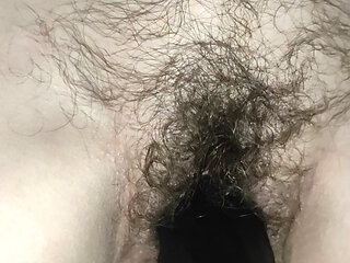 Hairy pussy