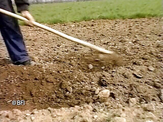 Husbandman appetite 4