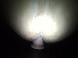 Latino chubby ass wants it deep