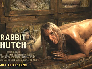 X Virtual 56 Rabbit Hutch in 180