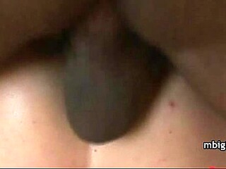 Interracial couple shares a steamy blowjob and cumshot